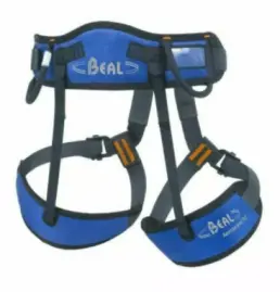 Seat Harness BEAL AeroTeam IV